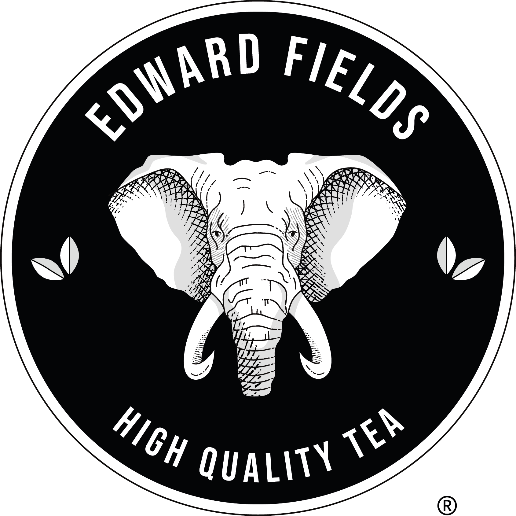 Té Matcha Premium Ecológico de Edward Fields Tea