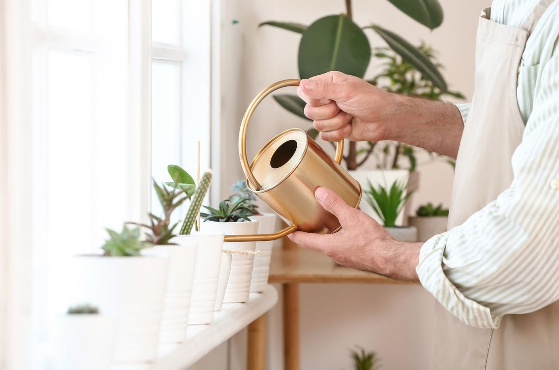 Persona regando plantas en su casa